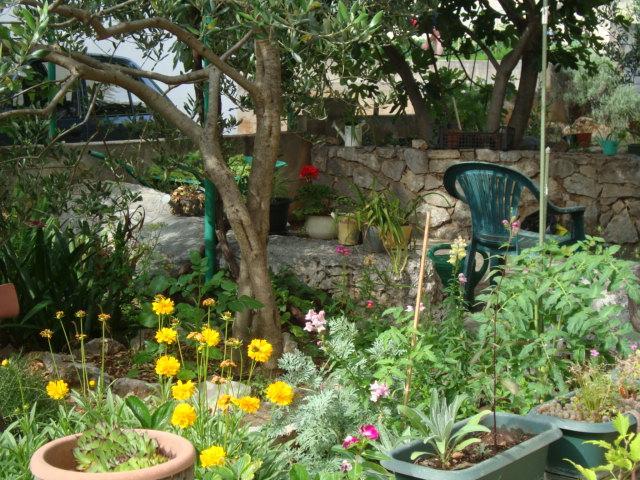 Blue Holidays Apartment Sibenik